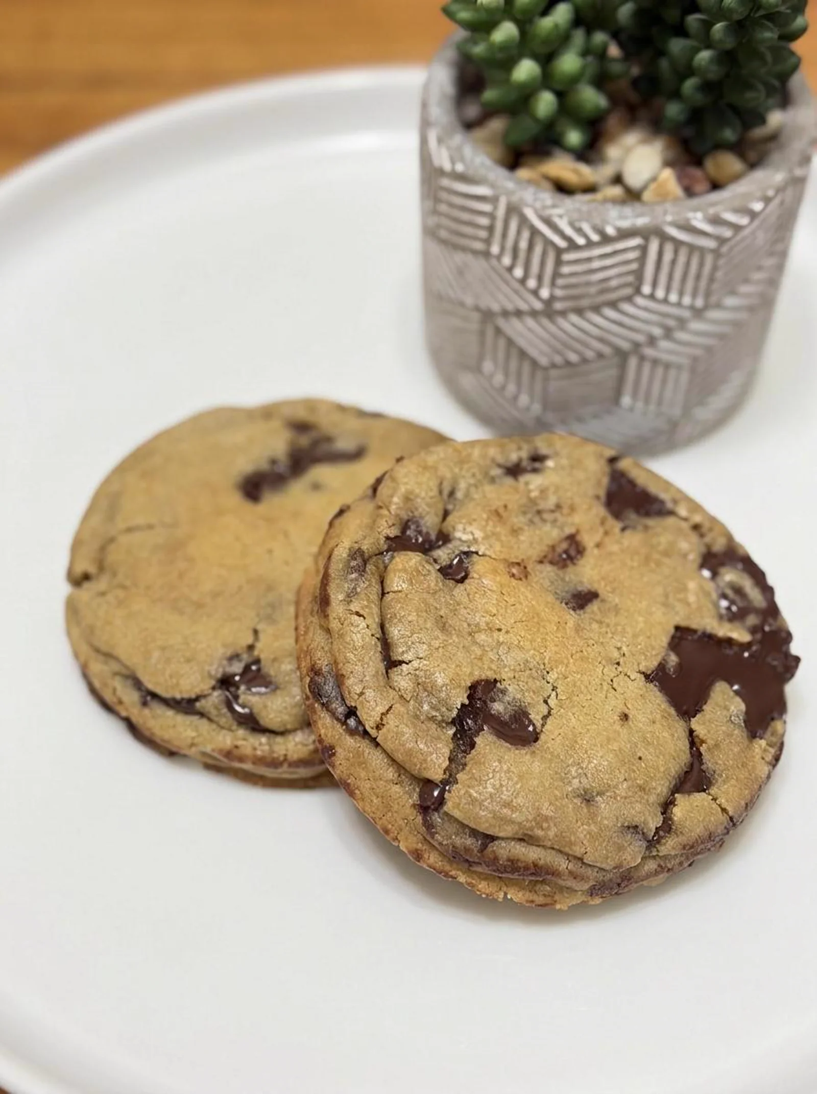Two chocolate chunk cookies with dark chocolate pieces on a plate