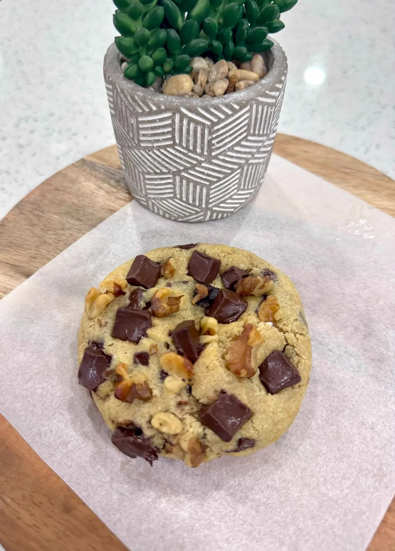Chocolate Walnut Cookies product photo