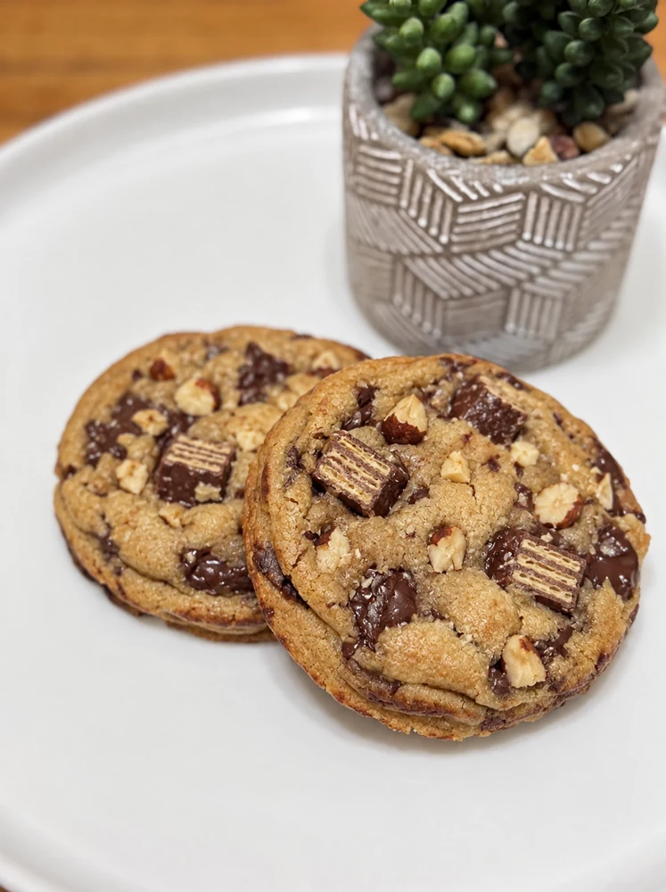 Two chocolate-hazelnut wafer cookies with dark chocolate on a white plate